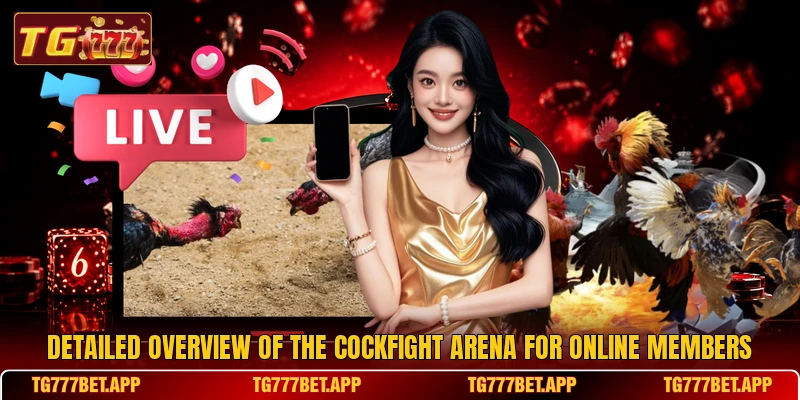 Detailed overview of the cockfight arena for online members Detailed overview of the cockfight arena for online members