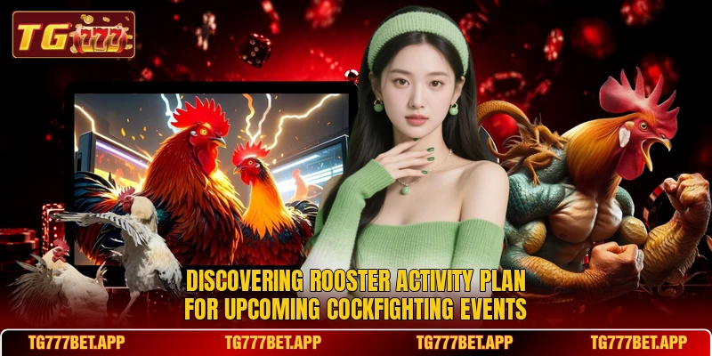Discovering rooster activity plan for upcoming cockfighting events Discovering rooster activity plan for upcoming cockfighting events