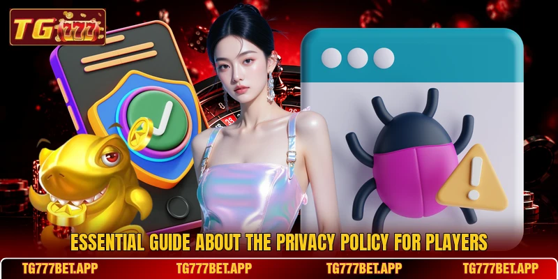 Essential guide about the privacy policy for players Essential guide about the privacy policy for players