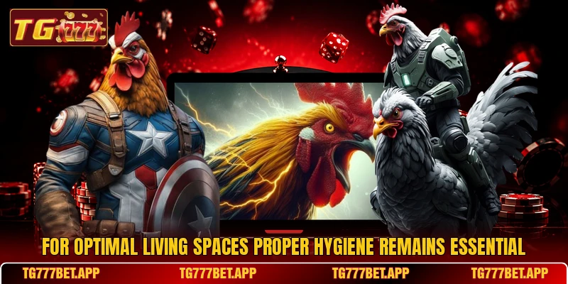 For optimal living spaces proper hygiene remains essential For optimal living spaces proper hygiene remains essential