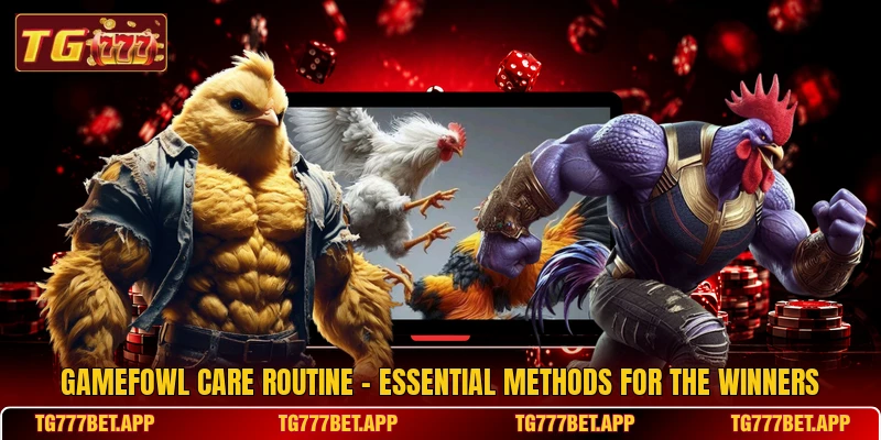 Gamefowl Care Routine - Essential Methods For The Winners Gamefowl Care Routine - Essential Methods For The Winners