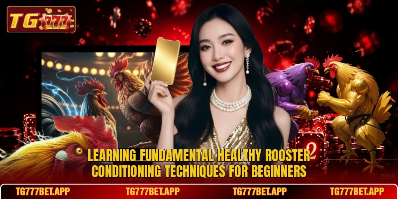 Learning fundamental healthy rooster conditioning techniques for beginners Learning fundamental healthy rooster conditioning techniques for beginners