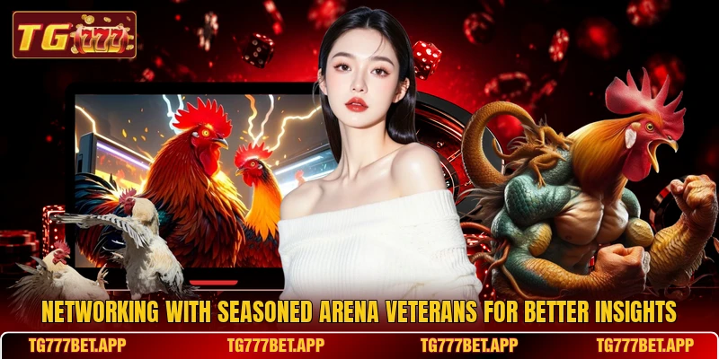Networking with seasoned arena veterans for better insights Networking with seasoned arena veterans for better insights