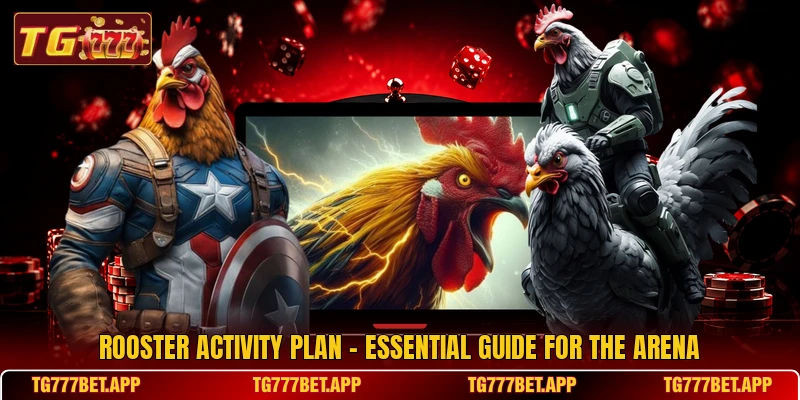 Rooster Activity Plan - Essential Guide For The Arena Rooster Activity Plan - Essential Guide For The Arena